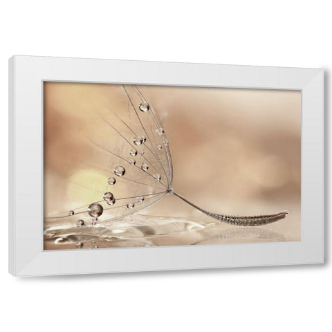 Prestige White Modern Wood Framed Art Print by Barbieri, Rina