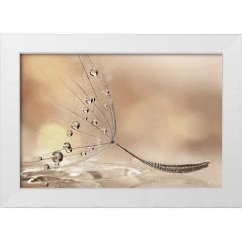 Prestige White Modern Wood Framed Art Print by Barbieri, Rina