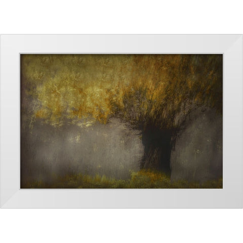 Pollard Willow White Modern Wood Framed Art Print by Talen, Nel