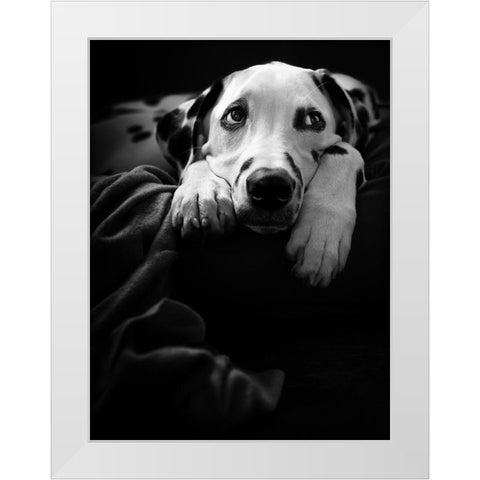 Nothing Is Happening :-( White Modern Wood Framed Art Print by Scherhag, Ute