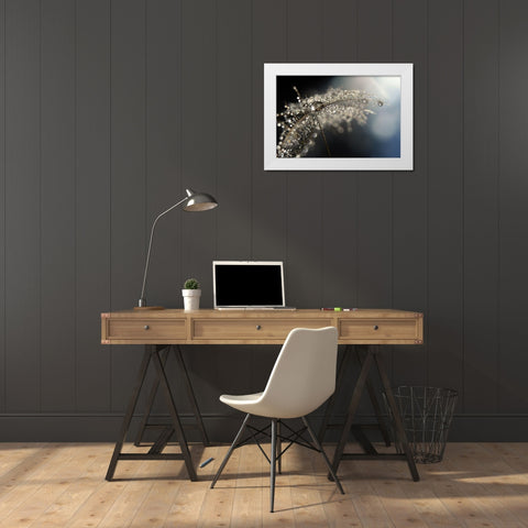 Reflection Explotion White Modern Wood Framed Art Print by Westum, Heidi