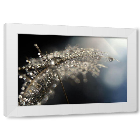 Reflection Explotion White Modern Wood Framed Art Print by Westum, Heidi