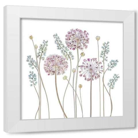 Allium White Modern Wood Framed Art Print by Disher, Mandy