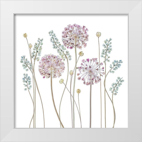 Allium White Modern Wood Framed Art Print by Disher, Mandy