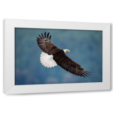 The Pose White Modern Wood Framed Art Print by H Yang, David