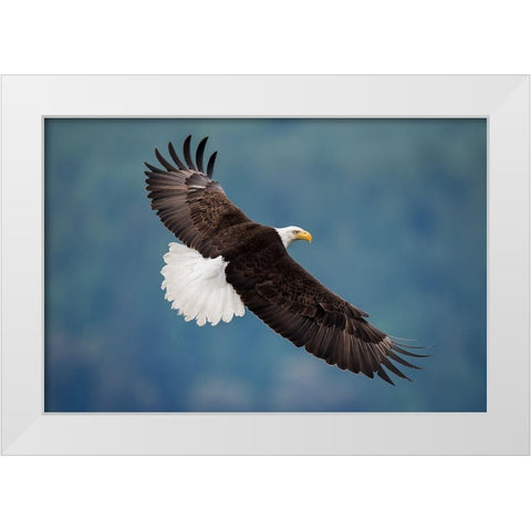 The Pose White Modern Wood Framed Art Print by H Yang, David