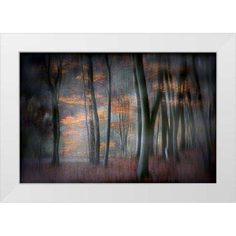 Enchanted Forest White Modern Wood Framed Art Print by Romaggi, Michel