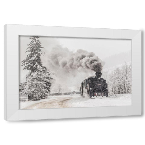 Winter Story White Modern Wood Framed Art Print by Dorin Lucian, Sveduneac