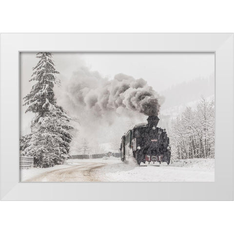 Winter Story White Modern Wood Framed Art Print by Dorin Lucian, Sveduneac