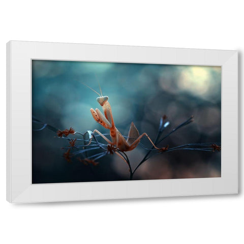 Praying Mantis White Modern Wood Framed Art Print by Gapur Dayak, Abdul