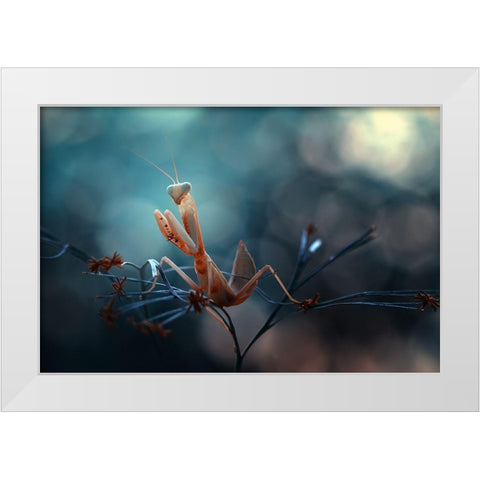 Praying Mantis White Modern Wood Framed Art Print by Gapur Dayak, Abdul