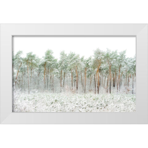 Snow World White Modern Wood Framed Art Print by Van Son, Greetje
