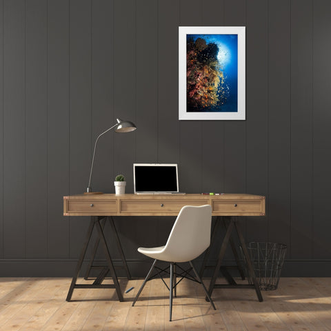 Life Explosion White Modern Wood Framed Art Print by Gabriel, Barathieu