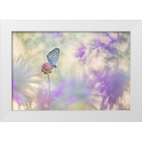 Pulsatilla Meadow White Modern Wood Framed Art Print by Spranz, Henrik