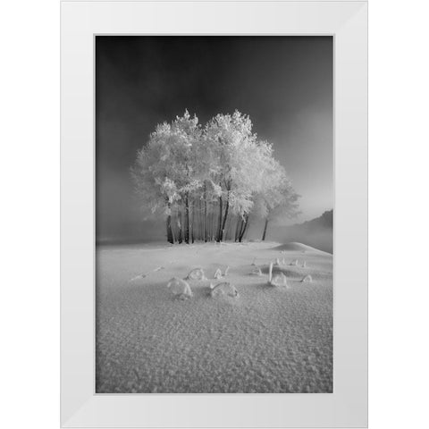 The First Snow White Modern Wood Framed Art Print by Mierzejewski, Krzysztof