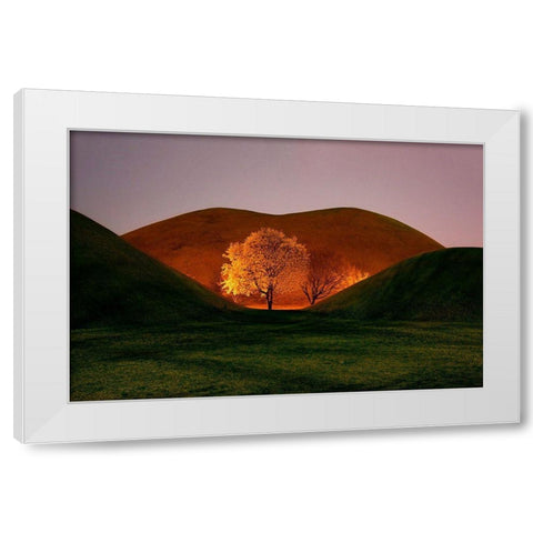 Magnolia White Modern Wood Framed Art Print by Namkoong, Bongok