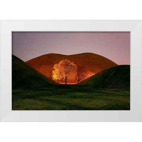 Magnolia White Modern Wood Framed Art Print by Namkoong, Bongok