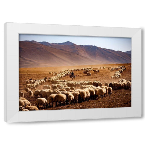 Saandfrac14;Raandfrac14; White Modern Wood Framed Art Print by Cacim, Murat