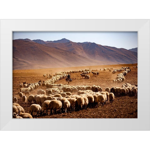 Saandfrac14;Raandfrac14; White Modern Wood Framed Art Print by Cacim, Murat