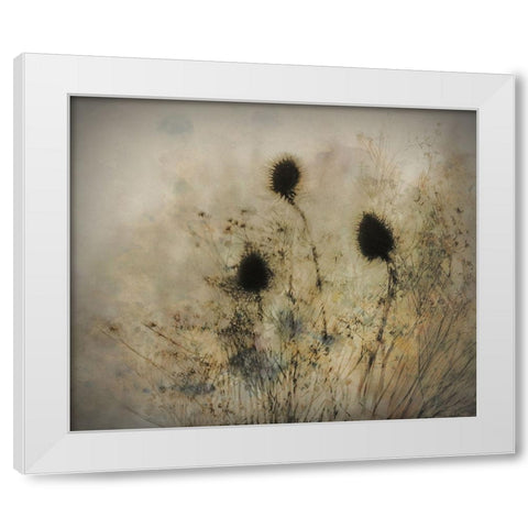 Seed Boxes White Modern Wood Framed Art Print by Talen, Nel