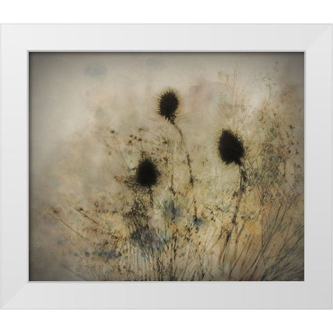 Seed Boxes White Modern Wood Framed Art Print by Talen, Nel