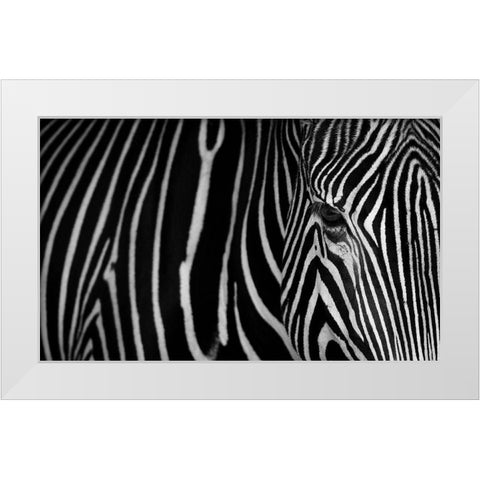 Stripes White Modern Wood Framed Art Print by Saavedra Ruiz, Sergio