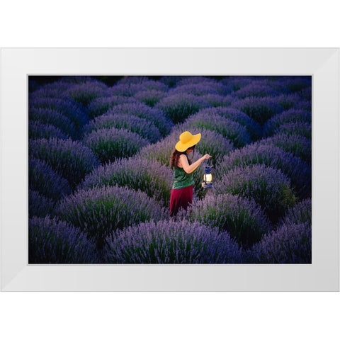 Lavender White Modern Wood Framed Art Print by Ayden, Cem