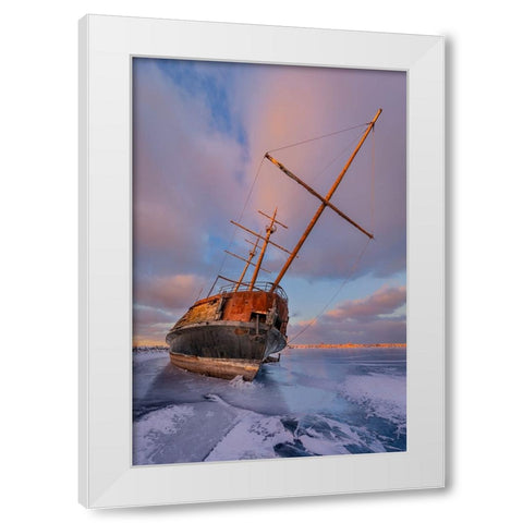 Frozen White Modern Wood Framed Art Print by Huang, Richard