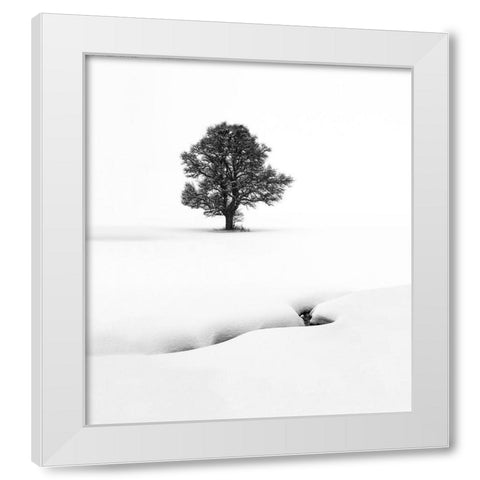 Le Solitaire White Modern Wood Framed Art Print by Pelissier, Marc