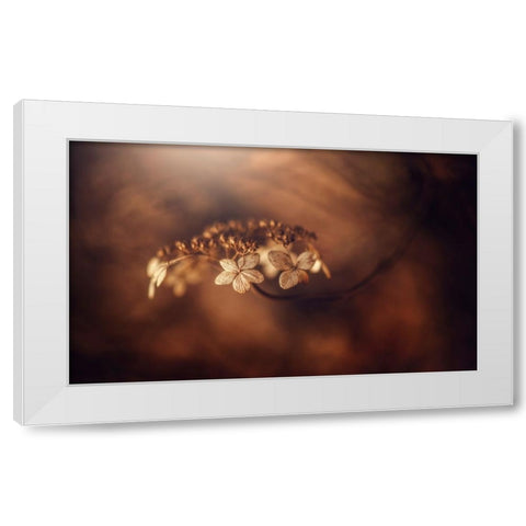 Withe Hydrangea White Modern Wood Framed Art Print by Suzuki, Takashi