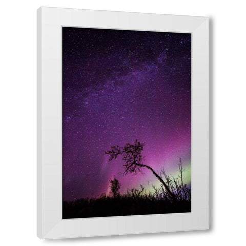 Under The Stars - 1 White Modern Wood Framed Art Print by Ifrim, Sorin