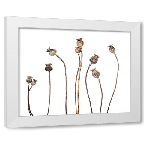 Poppies White Modern Wood Framed Art Print by Gronkjar, Lotte