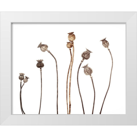 Poppies White Modern Wood Framed Art Print by Gronkjar, Lotte