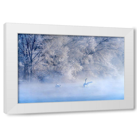 Swan Lake White Modern Wood Framed Art Print by Zhu, Hua