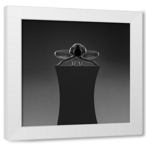 Box 3 White Modern Wood Framed Art Print by Birkhofer, Bruno