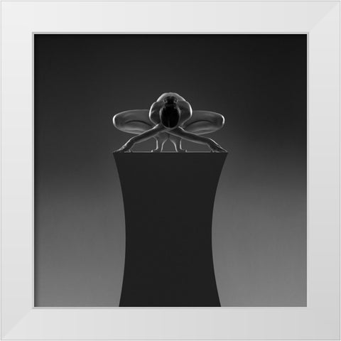 Box 3 White Modern Wood Framed Art Print by Birkhofer, Bruno