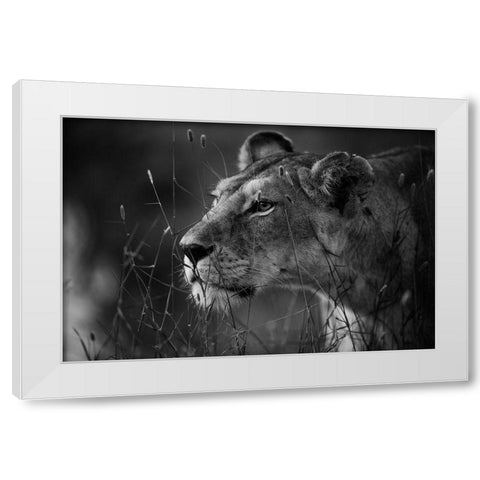 Untitled White Modern Wood Framed Art Print by Forte, Simona