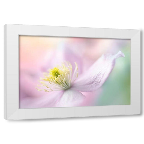 Mayleen White Modern Wood Framed Art Print by Parker, Jacky