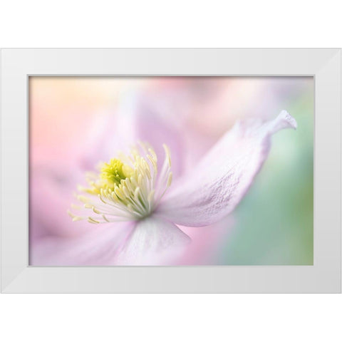 Mayleen White Modern Wood Framed Art Print by Parker, Jacky