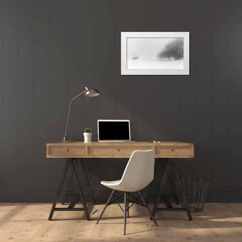 Lone Horse White Modern Wood Framed Art Print by Eliash, Tomer