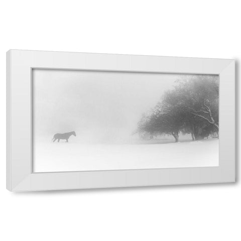 Lone Horse White Modern Wood Framed Art Print by Eliash, Tomer