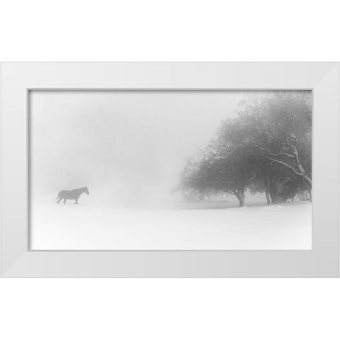 Lone Horse White Modern Wood Framed Art Print by Eliash, Tomer