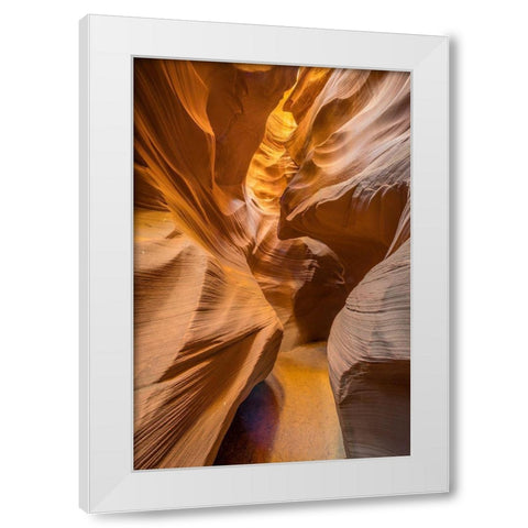 Qthe Golden Passage Wayq White Modern Wood Framed Art Print by C. Sink, Jeffrey