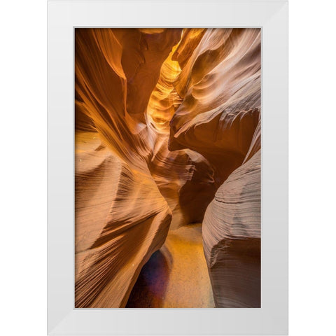 Qthe Golden Passage Wayq White Modern Wood Framed Art Print by C. Sink, Jeffrey