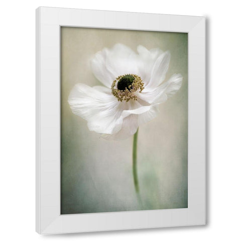 Single White White Modern Wood Framed Art Print by Parker, Jacky
