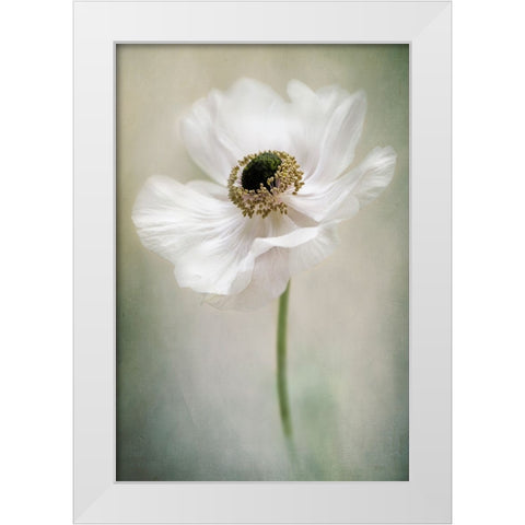 Single White White Modern Wood Framed Art Print by Parker, Jacky