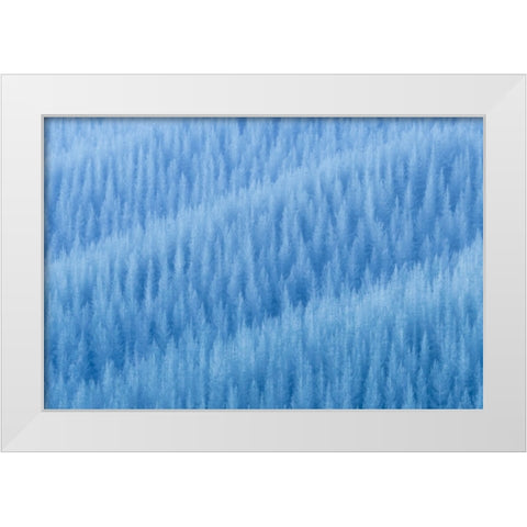 WinterS Pattern White Modern Wood Framed Art Print by Zhu, Jingshu