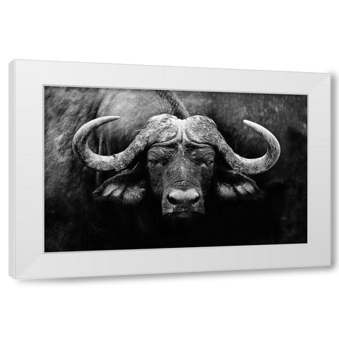 The Stare White Modern Wood Framed Art Print by Wildphotoart