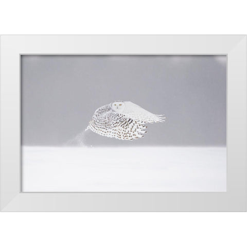The Take-Off White Modern Wood Framed Art Print by Pozzi, Marco
