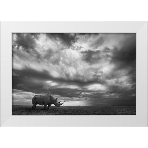 Rhino Land White Modern Wood Framed Art Print by Moreno, Mario